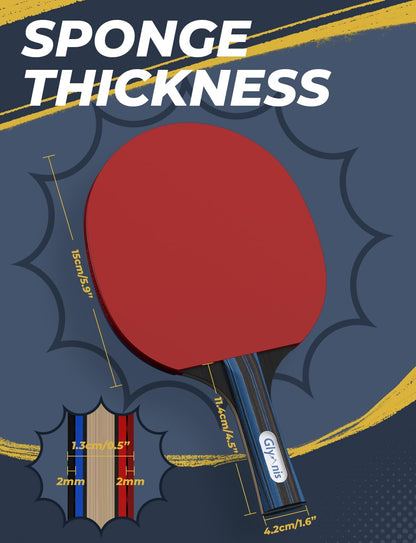 Premium Ping Pong Paddles Set - Complete Table Tennis Rackets with Balls & Storage Case for Indoor/Outdoor Fun (2/4 Player)